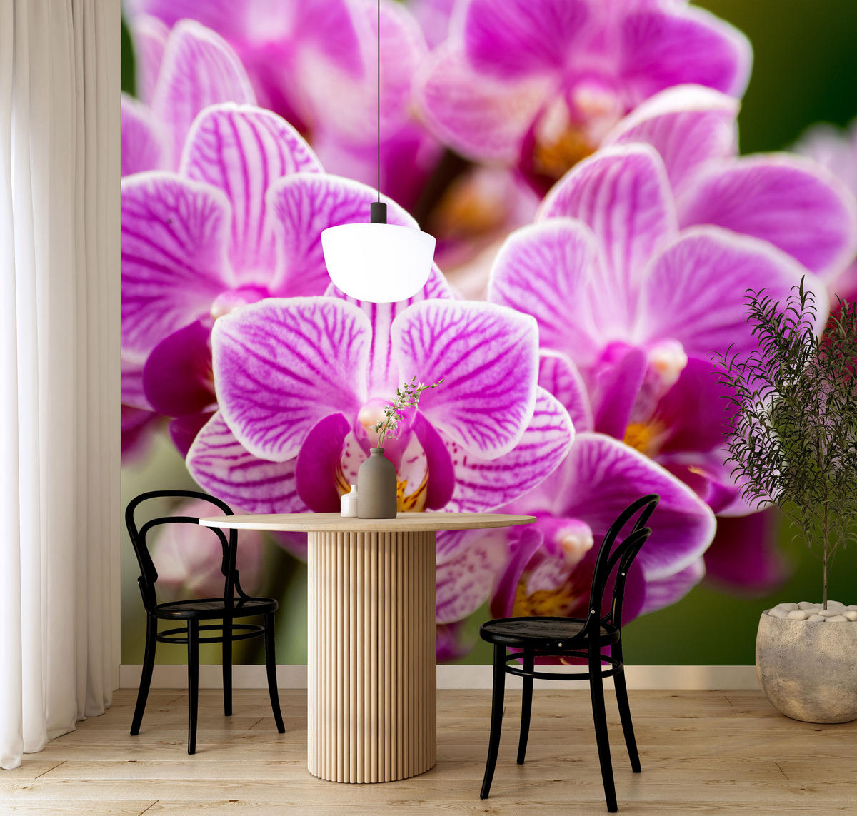 FOTOTAPETA Pre Obývaciu Izbu Kytica Fialových Orchideí 450 x 315 cm - zelená/ružová, papier (450/315cm) - Muralo