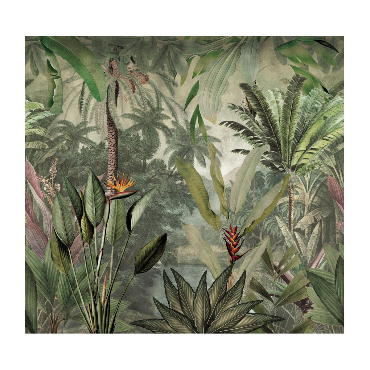 FOTOTAPETE - Medan Dschungel - Grün, Papier/Kunststoff (300/280cm) - Art for the Home