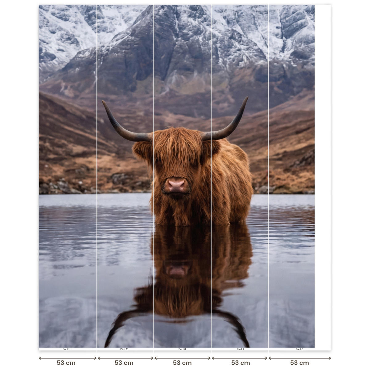 TAPETE - Schottischer Hochländer - Braun - Wasser - 260x300 cm - Braun, Papier (260/300cm) - OnlyWow