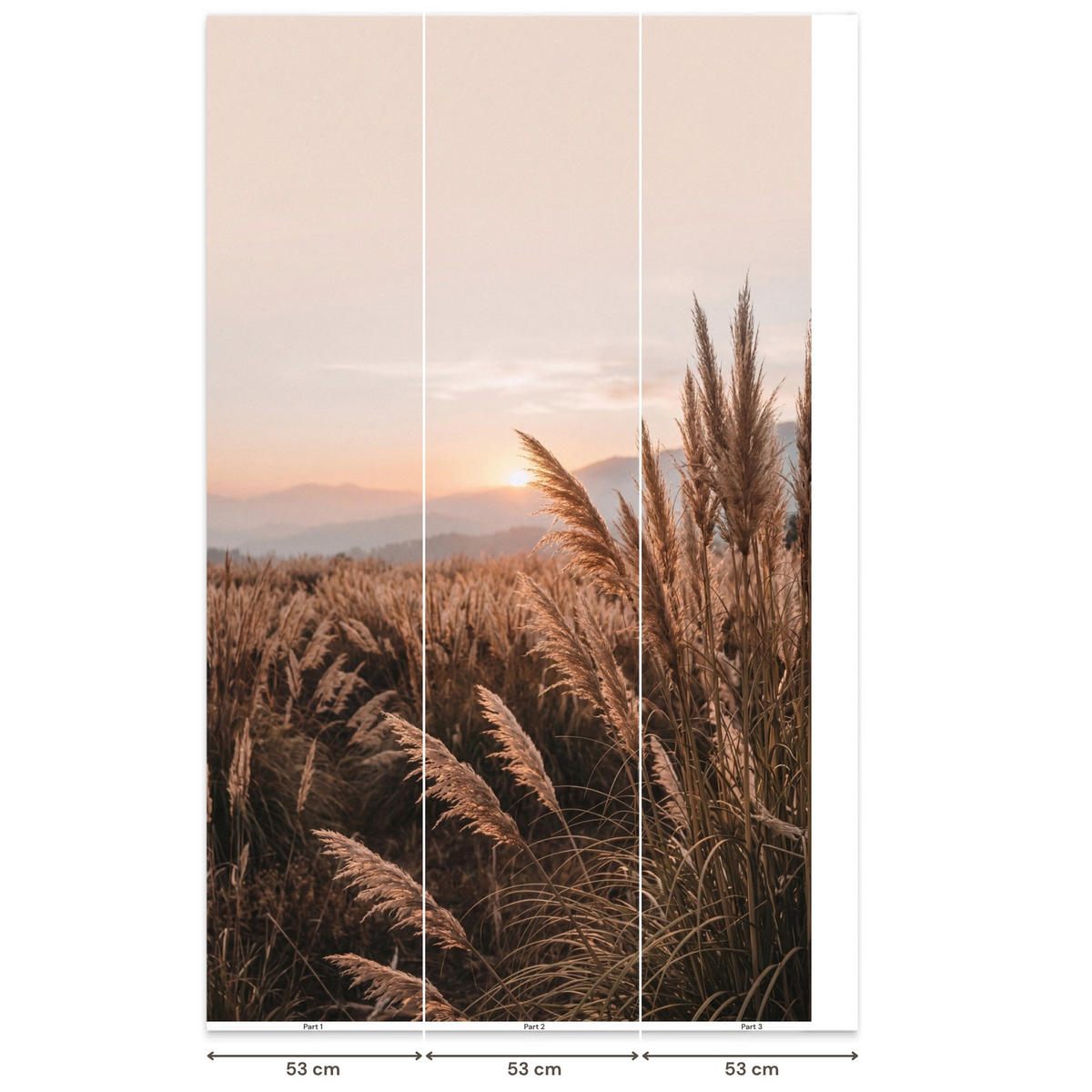 TAPETE - Gras - Feld - Sonne - Natur - 140x240 cm - Sandfarben, Papier (140/240cm) - OnlyWow