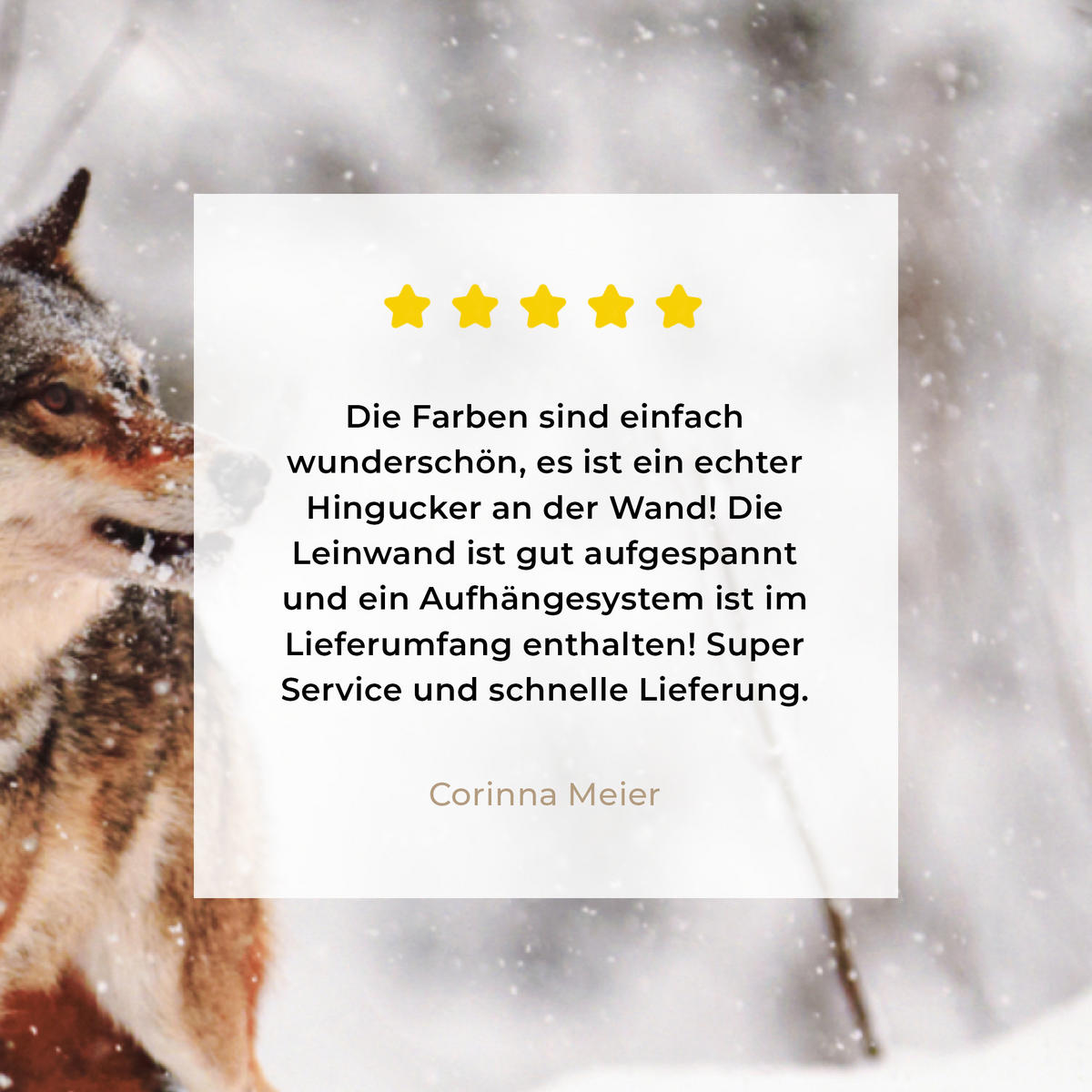 LEINWANDBILD Wolf - Winter - Schnee - Natur - Tiere 40x30 cm - Haselnussfarben, Textil (40/30cm) - MuchoWow