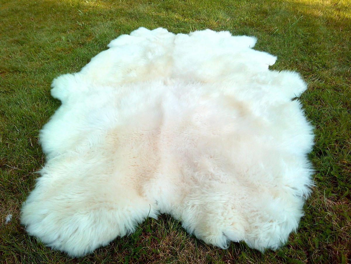 SCHAFFELL Teppich Läufer Naturweiß ca. 180x110 cm vernäht - Weiß, Fell (110/180cm) - Provellus