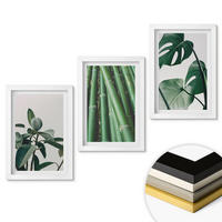 WANDBILDER 3er-Set - 20x30 cm Weißer Rahmen - Bambusstängel und Monstera-Blätter - Weiß, Kunststoff (20/30cm) - ArtPrintCave