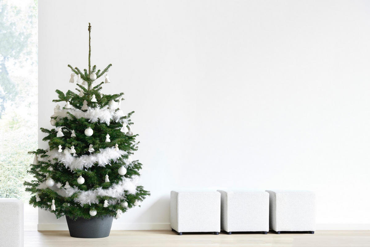 PFLANZENSTÄNDER 53/24 cm Dunkelgrau - Dunkelgrau, Kunststoff (53/24cm) - Ecopots