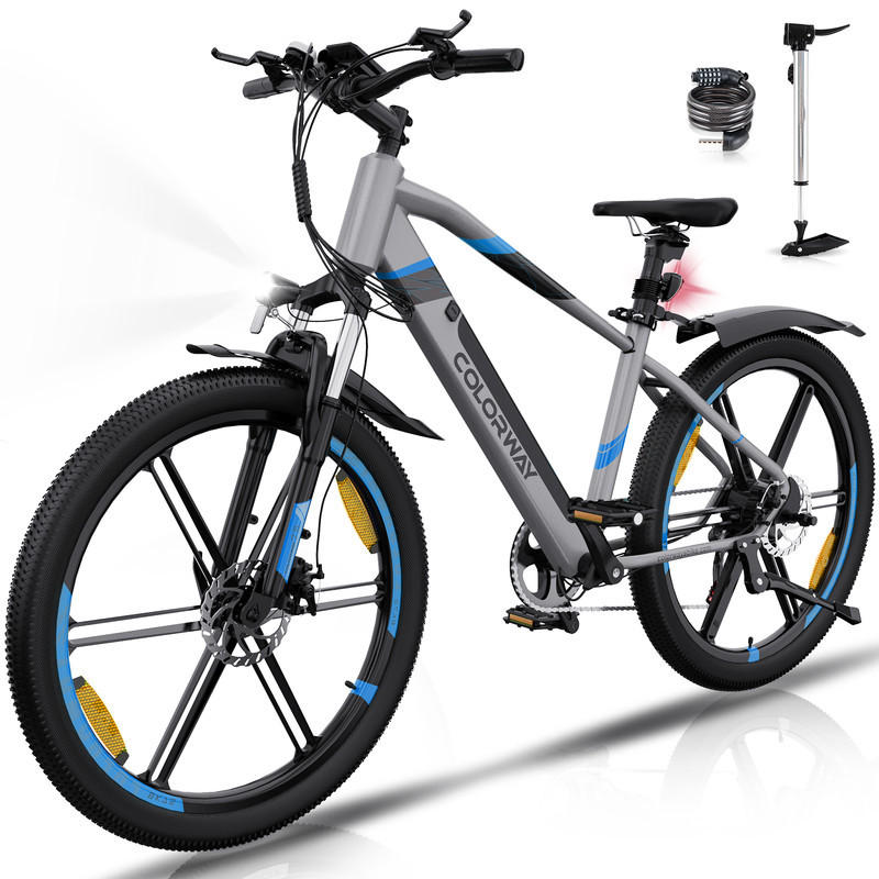 E-BIKE Mountain BK7S für Damen & Herren, 7 Gang, bis zu 90km - Grau, Metall (24cm) - COLORWAY