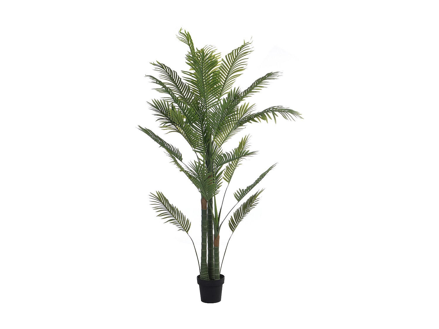 KUNSTPFLANZE - 80 cmcm x 80 cmcm - Plastik - Grün - COCONUT - Grün, Kunststoff (190cm) - Vente-Unique