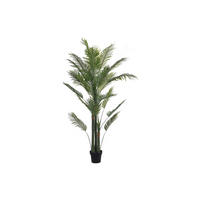 KUNSTPFLANZE - 80 cmcm x 80 cmcm - Plastik - Grün - COCONUT - Grün, Kunststoff (190cm) - Vente-Unique