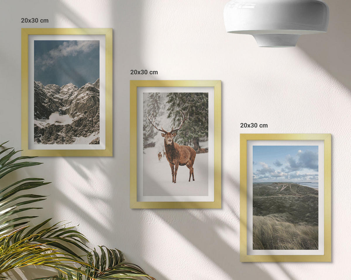 BILDER SET 3er Set - 20x30 cm Goldrahmen - Berge, Schnee, Hirsche, Waldlandschaft - Goldfarben, Kunststoff (20/30cm) - TULUP