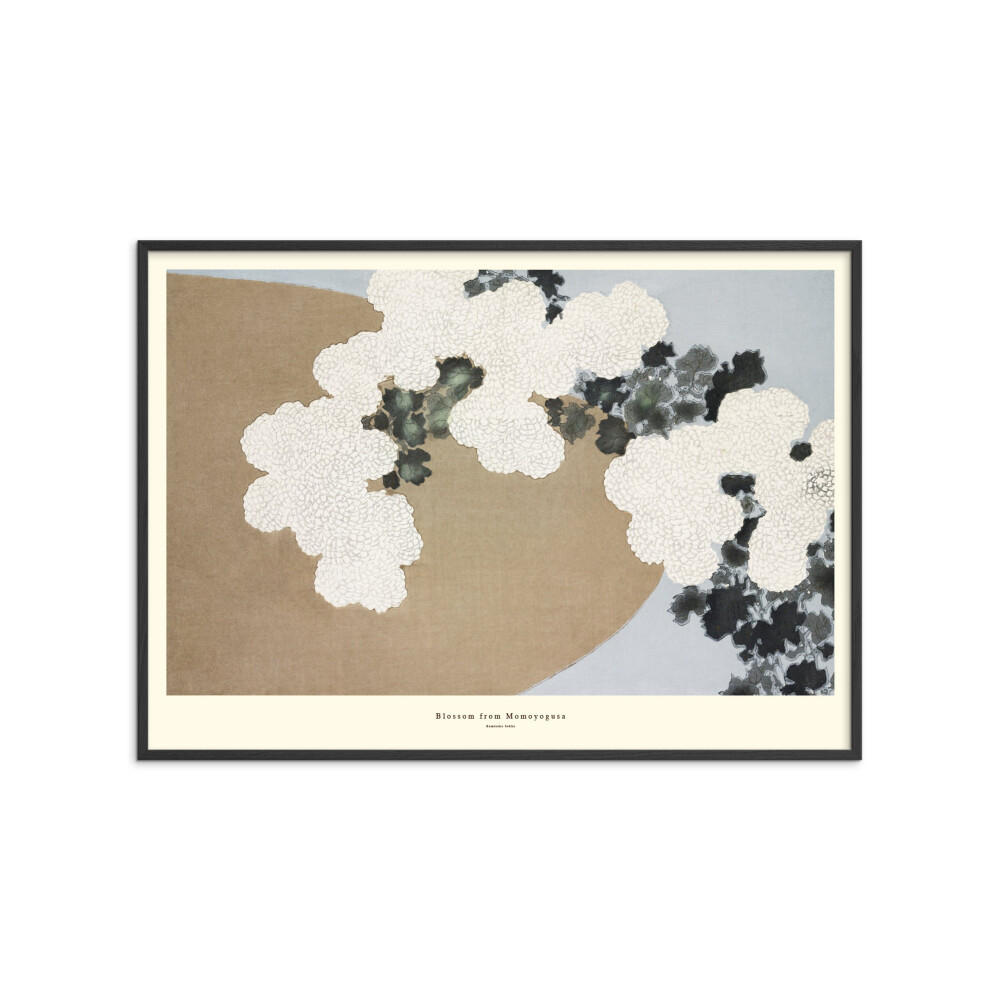 POSTER mit Rahmen A.P. Atelier - Blossom from Momoyogusa - Schwarz/Naturfarben, Holz/Papier (30/40cm) - Poster&Frame