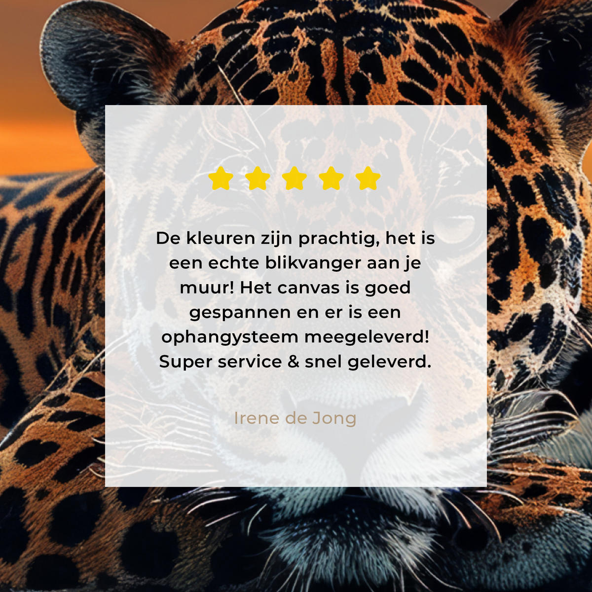 LEINWANDBILD Natur - Leopard - Tier - Sonnenuntergang - Modern Wandbild Wohnzimmer 50x50 cm - Orange, Textil (50/50cm) - MuchoWow