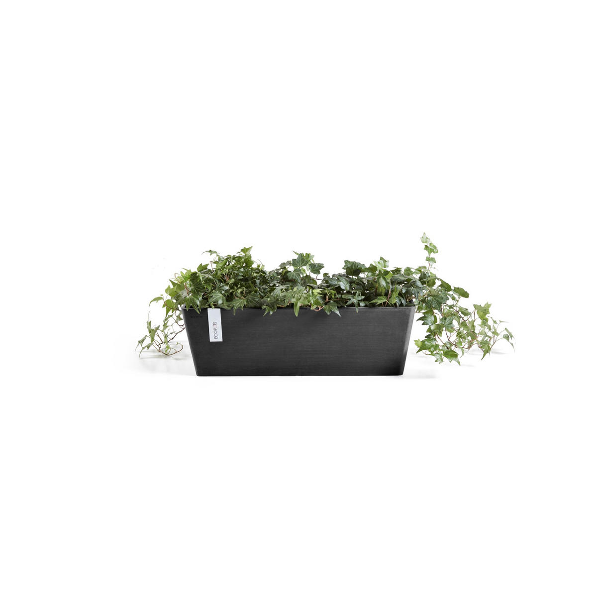 BLUMENTOPF mit Wasserreservoir Bruges 55,3/16,5/17,5 cm Dunkelgrau - Dunkelgrau, Kunststoff (55.3/17.5cm) - Ecopots