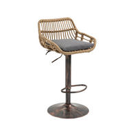 BARHOCKER 2er Set Höhenverstellbar, 360° drehbar, Fußstütze, Grau - Grau, Metall (49/109/48cm) - PARAFTA HOME