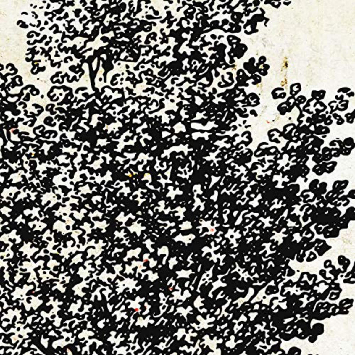 POSTER Set mit 4 Blättern der Obstbäume ohne Jahrgang Hintergrund 20x20cm Rahmenlos - Klar, Papier (20/3cm) - Nacnic