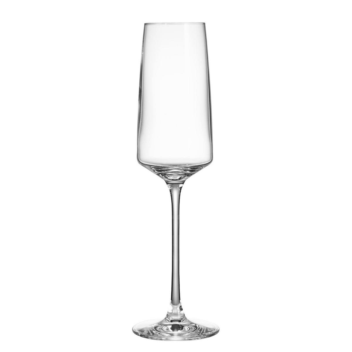 CHAMPAGNERFLÖTE (6er Set) Wine Dine - Transparent, Glas (0.25L) - Butlers