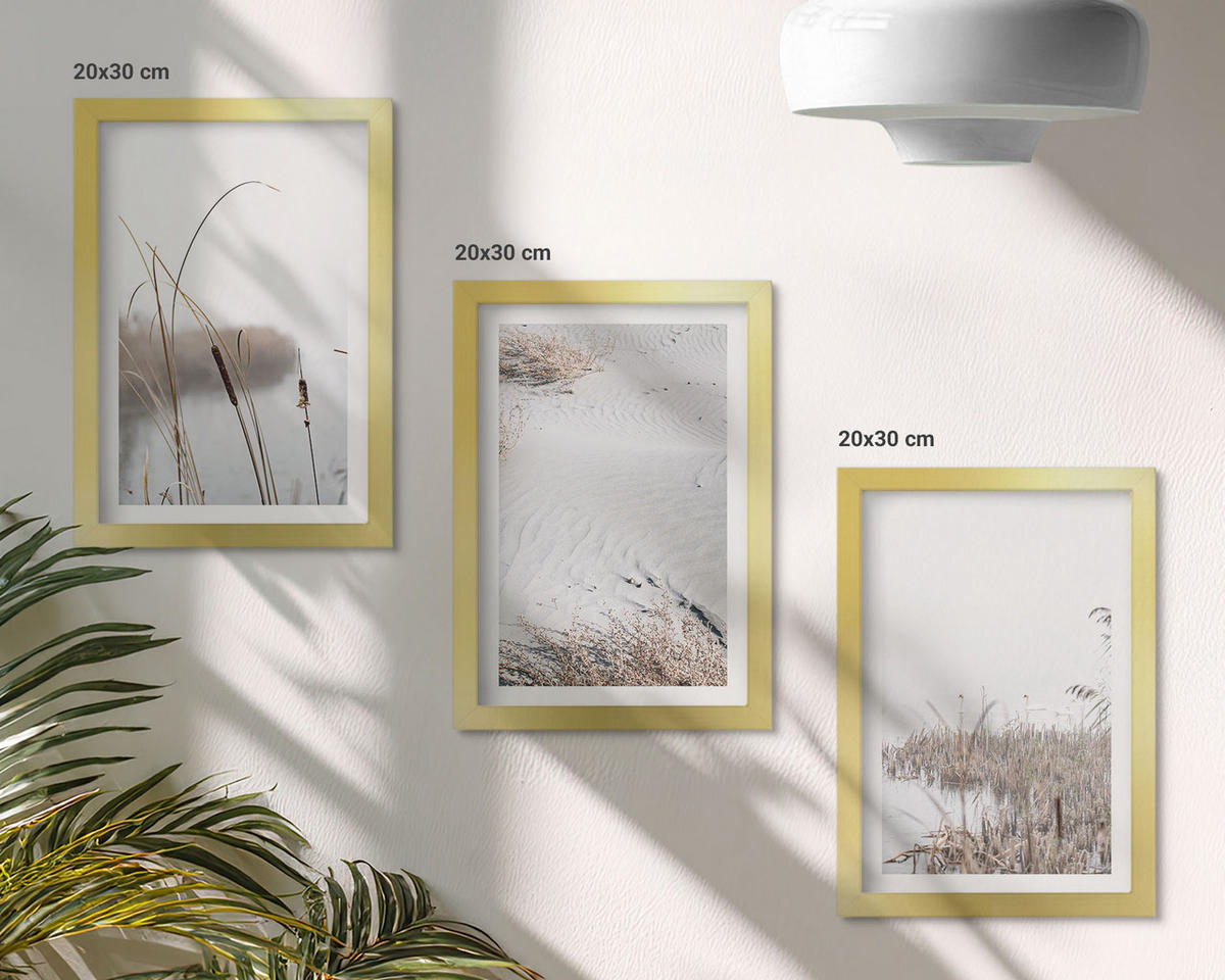 BILDER SET 3er Set - 20x30 cm Goldrahmen - Wasserpflanzen im Sommer - Goldfarben, Kunststoff (20/30cm) - TULUP