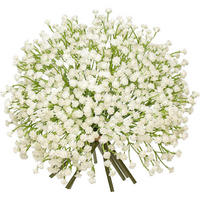 KUNSTBLUMEN Schleierkraut 10 Stück 25 cm Beige - Weiß, Kunststoff (24cm)