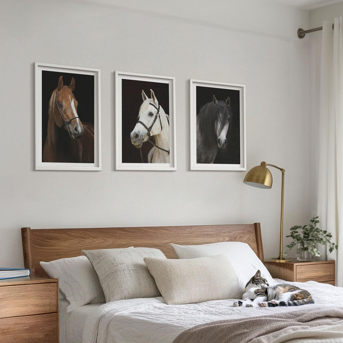 BILDER SET 3er Set - 40x60 cm Weißer Rahmen - Porträts von Pferden in verschiedenen Fellfarben - Weiß, Kunststoff (40/60cm) - TULUP