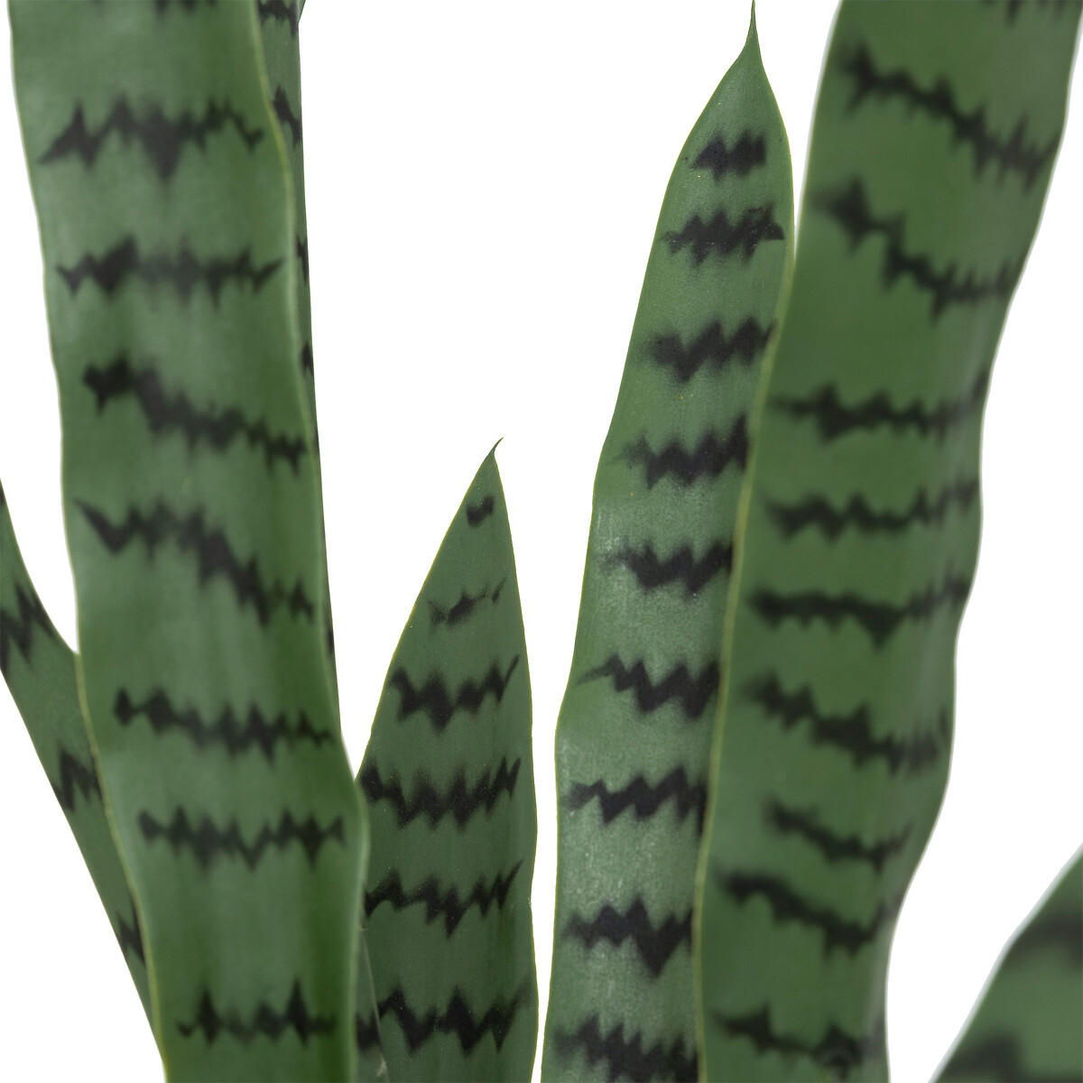 KÜNSTLICHE ZIMMERPFLANZE Sansevieria Toby 90 cm - Grün, Kunststoff (90cm) - Atmosphera Createur d´interieur