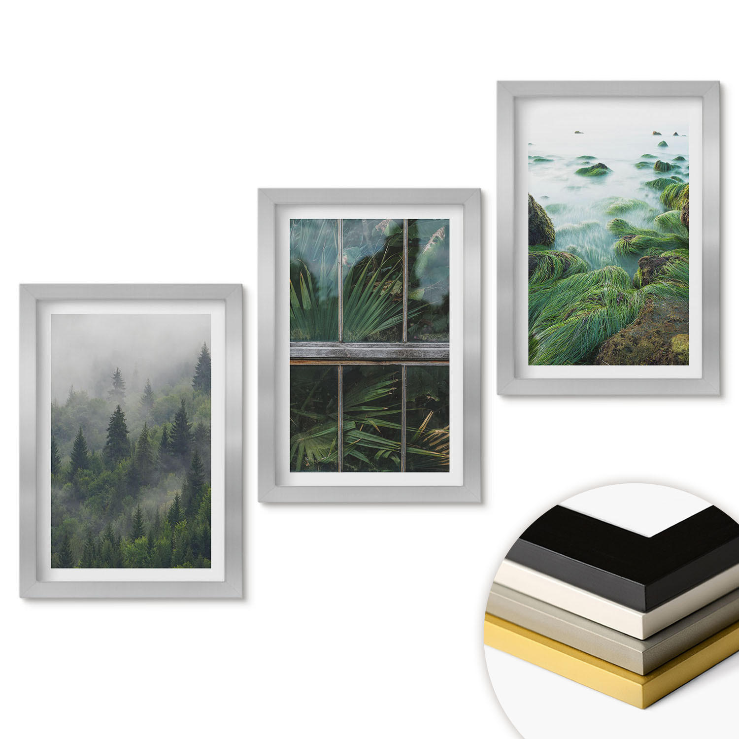 WANDBILDER 3er Set - 20x30 cm Silberner Rahmen - Waldnebel, Flussufer, Gewächshaus - Silberfarben, Kunststoff (20/30cm) - ArtPrintCave