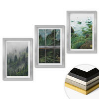 WANDBILDER 3er Set - 20x30 cm Silberner Rahmen - Waldnebel, Flussufer, Gewächshaus - Silberfarben, Kunststoff (20/30cm) - ArtPrintCave