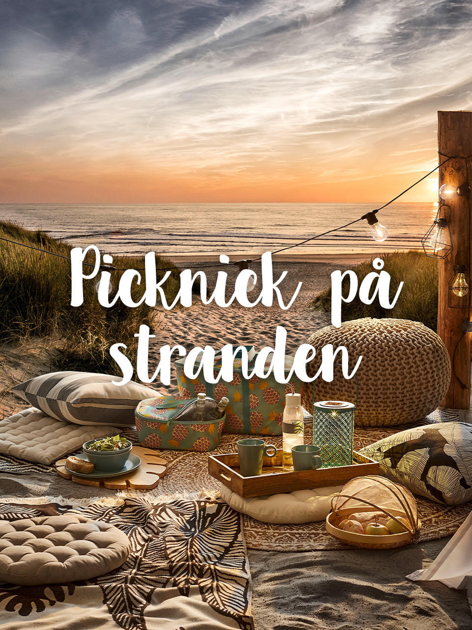 Picknick pa stranden