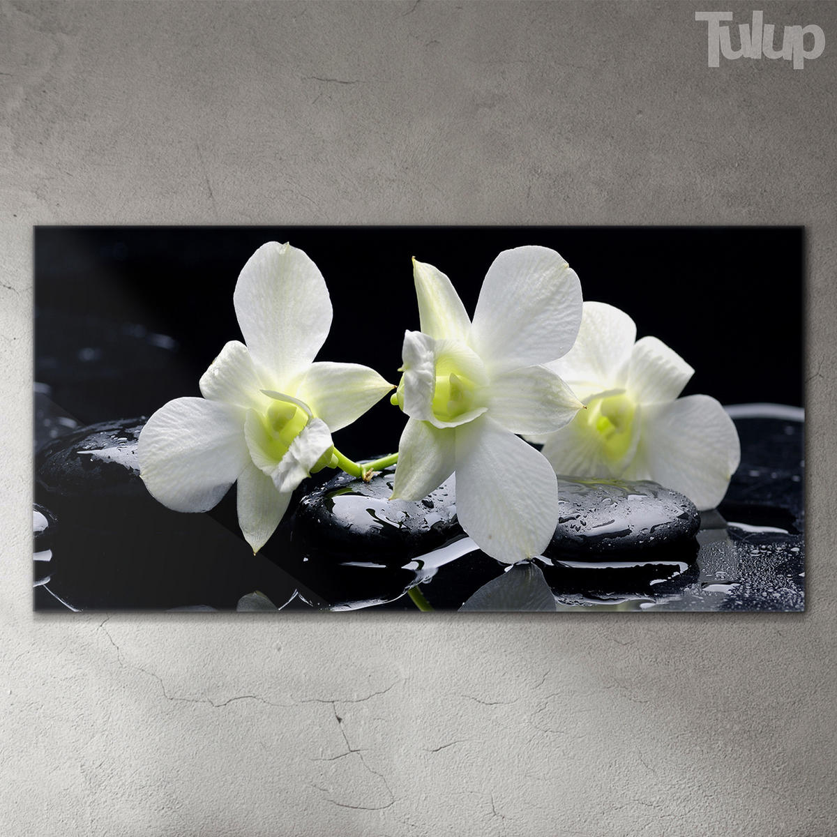 GLASBILD 120x60 cm Orchideenblüte - Schwarz/Hellgrün, Glas (120/60cm) - TULUP
