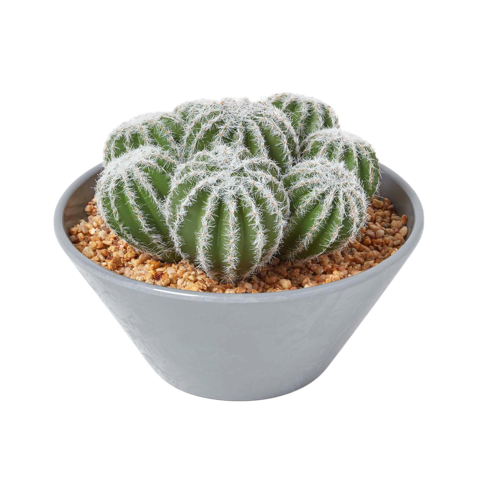 KUNSTPFLANZEN Kakteen-Arrangement im Deko-Topf, 17 cm - Grün, Kunststoff (17cm) - Homescapes