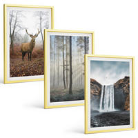 BILDER SET 3er Set - 40x60 cm Goldrahmen - Waldlandschaften, wilde Natur - Goldfarben, Kunststoff (40/60cm) - TULUP