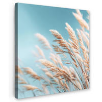 LEINWANDBILD Ziergras - Wind - Hellbraun Wandbild Wohnzimmer 50x50 cm - Hellblau, Textil (50/50cm) - MuchoWow