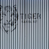 FOTOTAPETE Tigern 424 x 280 cm - Beige, Papier (424/280cm) - Sanders & Sanders