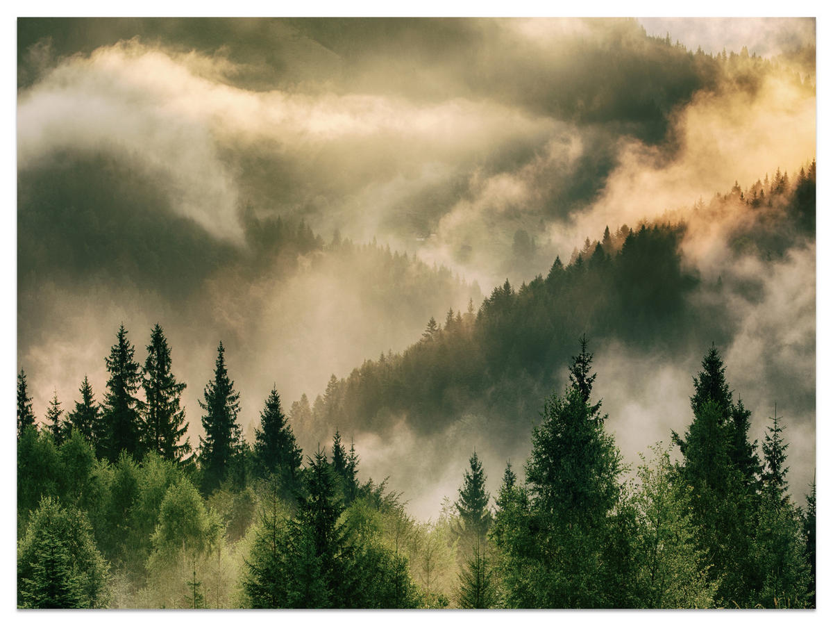FOTOTAPETE für Wohnzimmer Neblige Landschaft Bergwald Nadelbäume 400x280 - Gelb/Orange, Papier (400/280cm) - Muralo