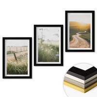 WANDBILDER 3er-Set - 20x30 cm Schwarzer Rahmen - Landschaftswiesenstraße West - Schwarz, Kunststoff (20/30cm) - ArtPrintCave