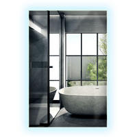 LED-SPIEGEL 60x40 cm Rechteckig Kaltweiß 6000K - Transparent, Glas (40/60/0.4cm) - Wallfluent