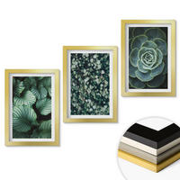 WANDBILDER 3er Set - 20x30 cm Goldrahmen - Sukkulenten im Stil grüner Blätter - Goldfarben, Kunststoff (20/30cm) - ArtPrintCave