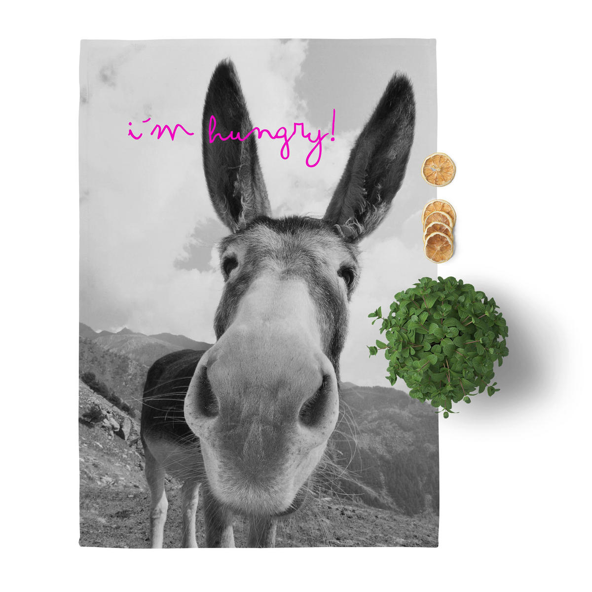 GESCHIRRTUCH (2 tlg) farm 70x50 cm mehrfarbig - Multicolor, Textil (70/50cm) - Happy Friday