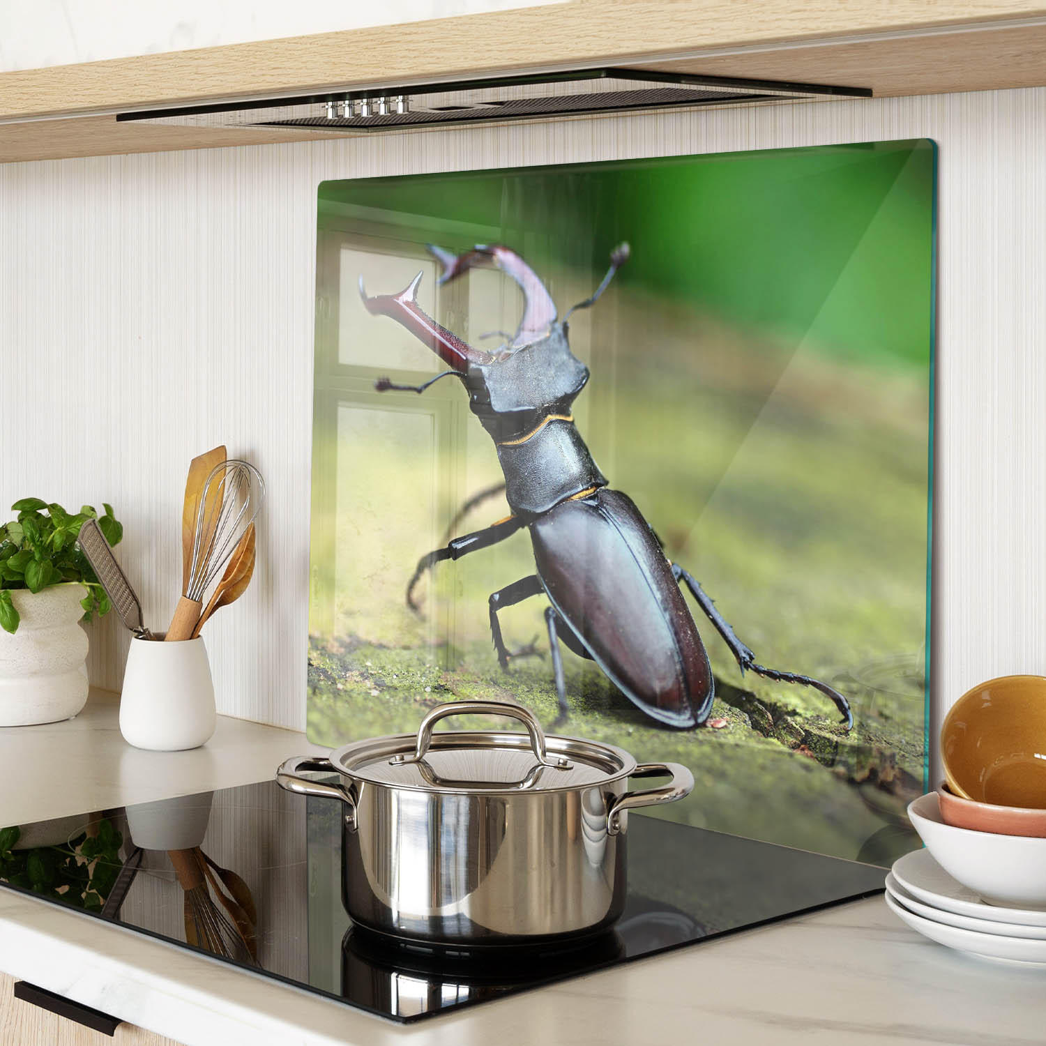 GLASPLATTE 60x52 cm Käfer - Braun, Glas (60/0.4/52cm) - TULUP