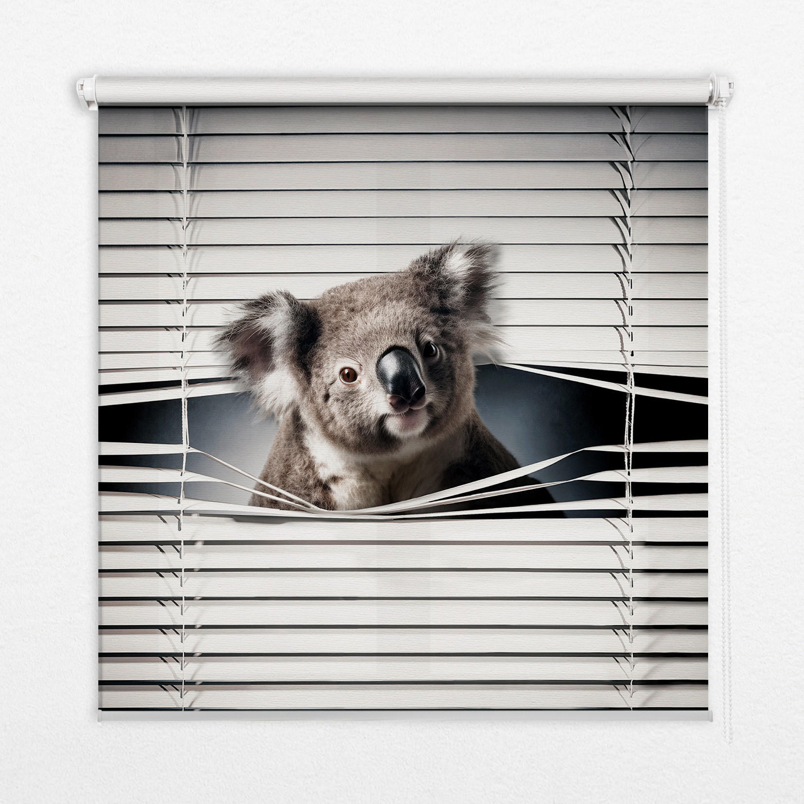 TULUP VNITŘNÍ roleta - okenní roleta - roleta - 150 x180 cm - Koala