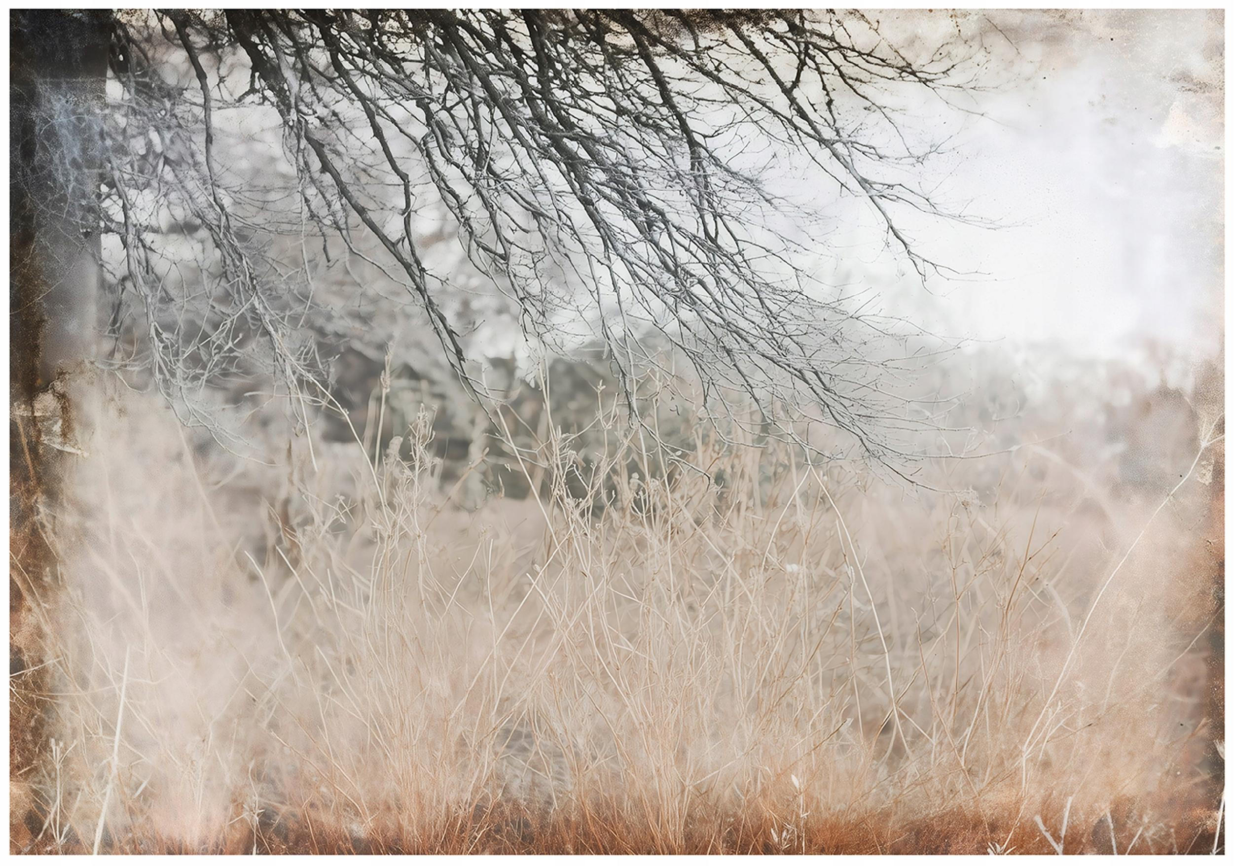 FOTOTAPETE Wiese Abstrakt Braun 250x175 cm - Multicolor, Papier (250/175cm) - Wallarena