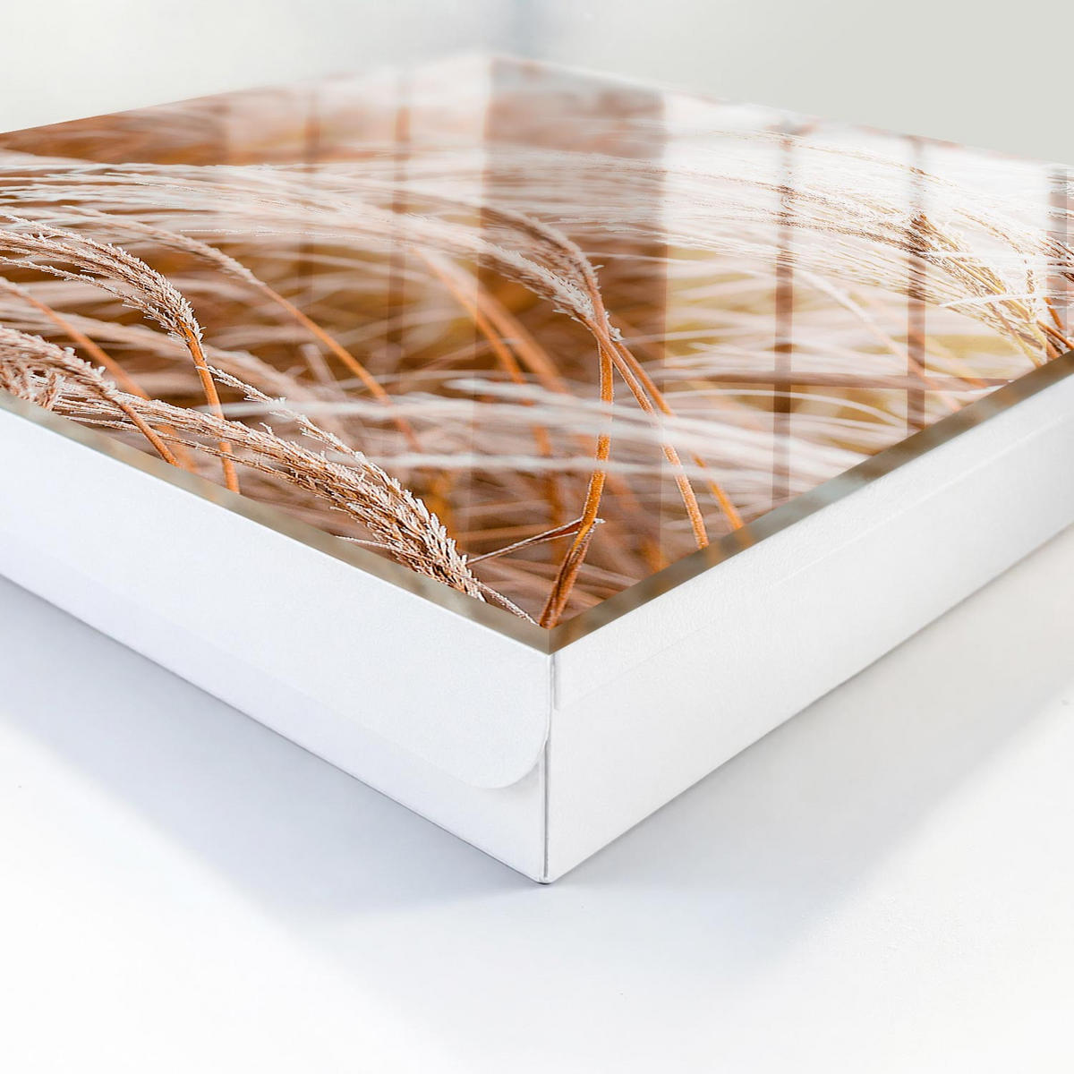SCHLÜSSELBOX Weiß 30x30 cm – Türöffnung nach rechts - Zarte Gräser - Beige, Metall (30/30/5cm) - TULUP