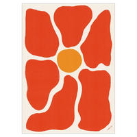 POSTER Tara Royle - Flower - Rot, Papier (30/40/0.1cm) - Poster&Frame