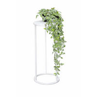 DANDIBO Blumenhocker Metall Weiß Rund 50 cm Blumenständer Beistelltisch 96483 S Blumensäule Modern Pflanzenständer Pflanzenhocker - Weiß, Metall (20/50/20cm) - DanDiBo