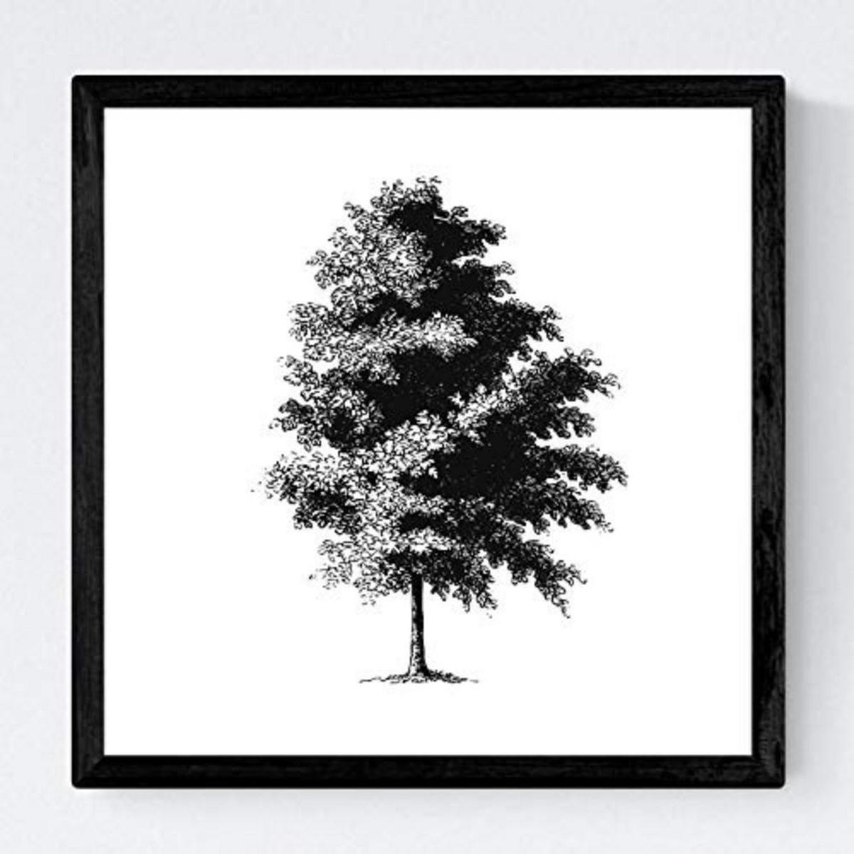 POSTER Set mit 4 Blättern der dünne Kruste weiß 20x20cm Rahmenlos - Klar, Papier (20/3cm) - Nacnic