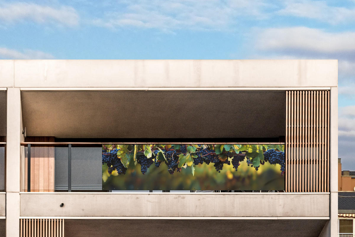 BALKON-SICHTSCHUTZ Trauben - Wein - Natur - Grün - Weinrot, Kunststoff (500/130cm) - MuchoWow