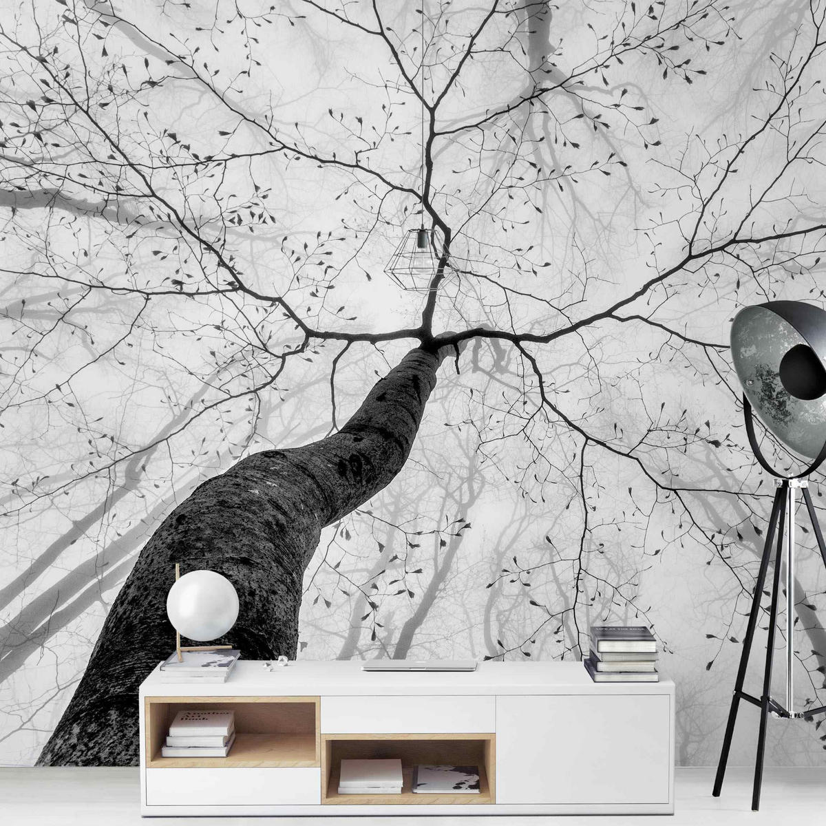 FOTOTAPETE Baumkronen im Himmel 240/240 cm - Schwarz, Papier (240/240cm) - Bilderwelten