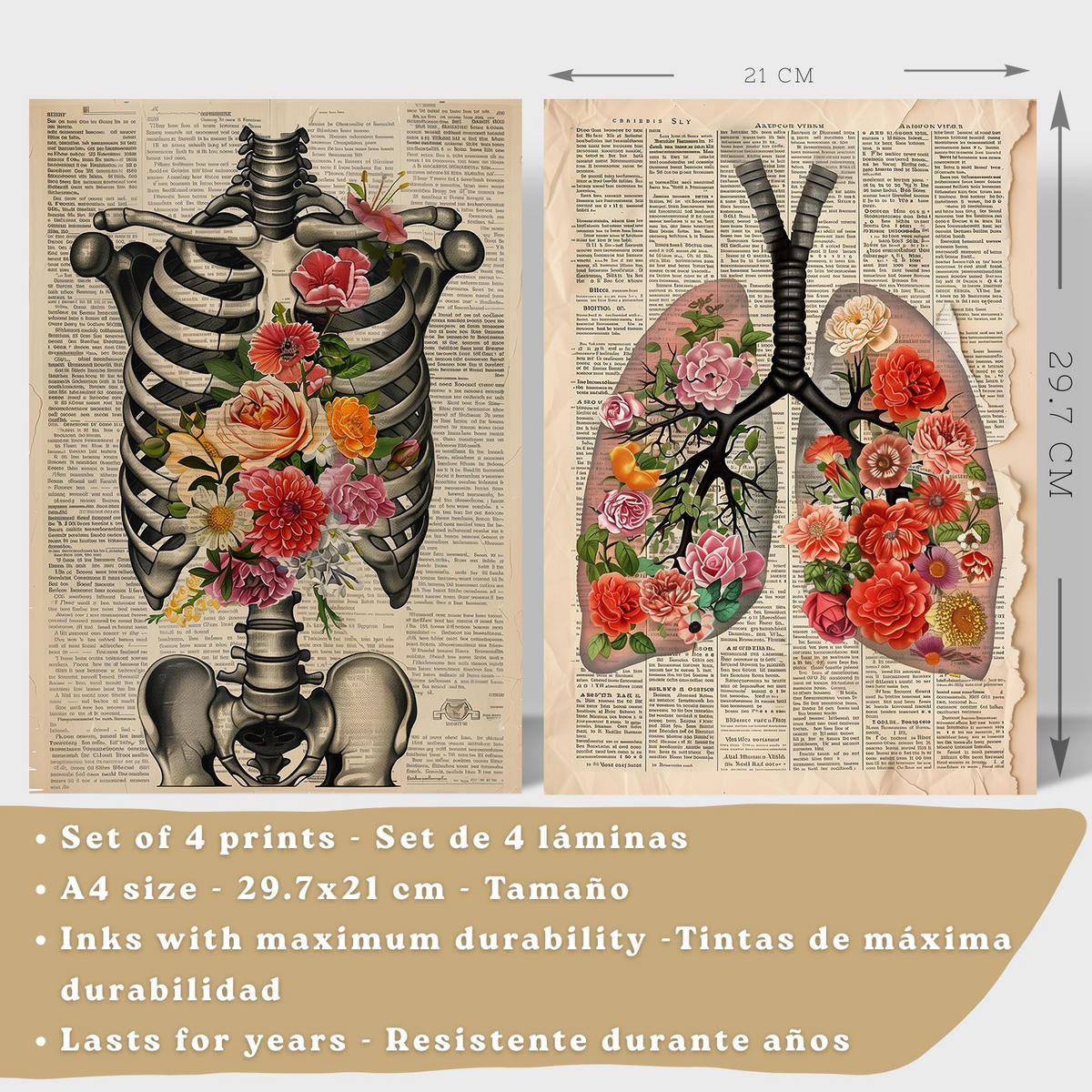 POSTER Set aus 4 Vintage Anatomie und Wandbilder mit Rippen Wirbelsäule Lungen Luftröhre Bronchien Gehirn und Schädel Größe Weißer Rahmen A4 - Weiß, Papier (21/29.7/3cm) - Nacnic