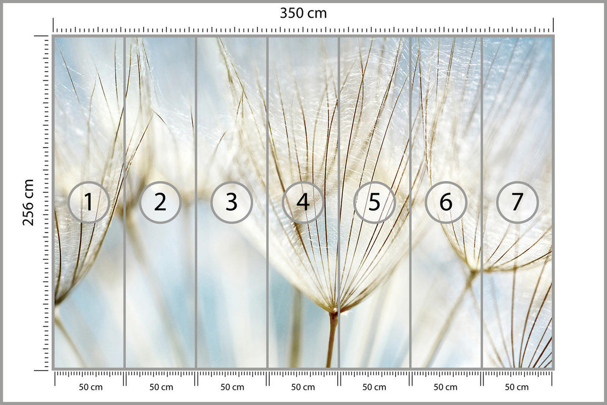 FOTOTAPETE für Wohnzimmer Löwenzahn Pflanzen Natur 350x256 - Blau/Beige, Papier (350/256cm) - Muralo