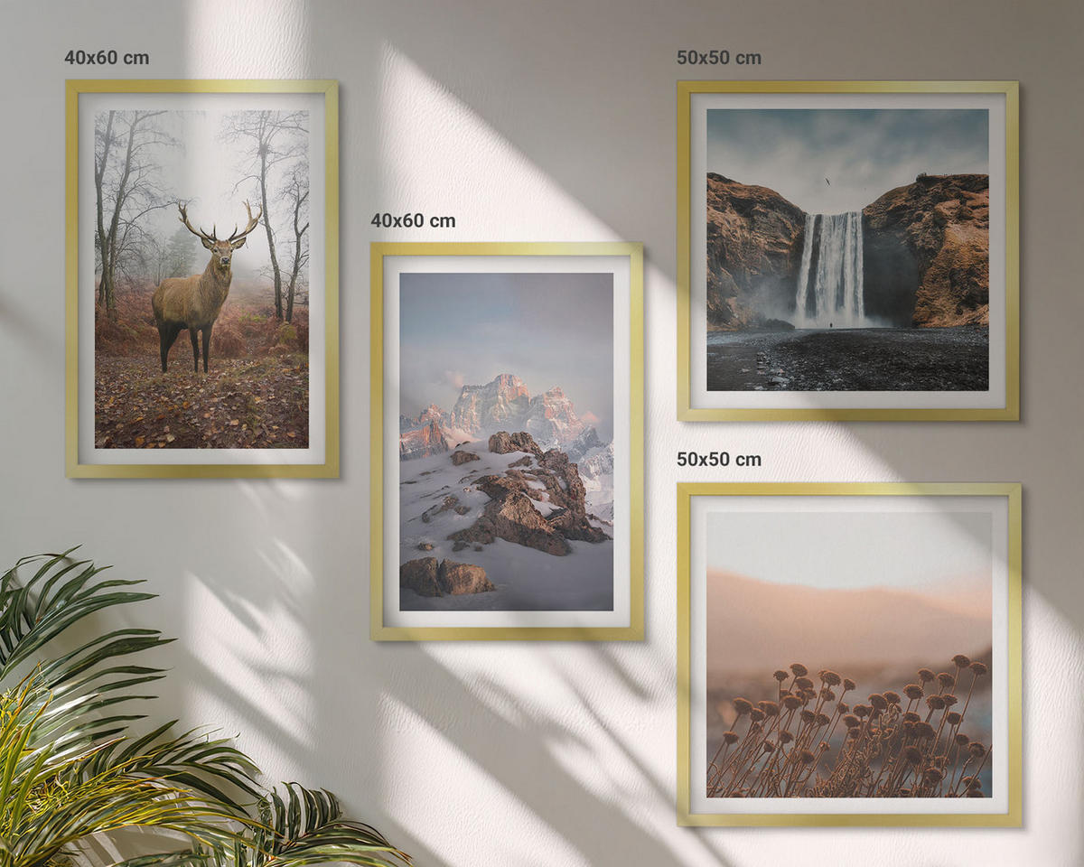BILDER SET 4er Set - 50x50 cm & 40x60 cm Goldrahmen - Wilde Landschaften, Berge, Hirsche - Goldfarben, Kunststoff (50/50cm) - TULUP