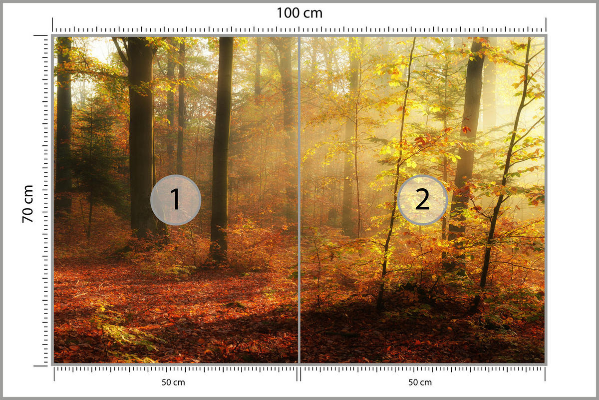 FOTOTAPETA Pre Obývaciu Izbu Jesenná Hmla Listnatý Les Stromy 100 x 70 cm - oranžová/hnedá, papier (100/70cm) - Muralo