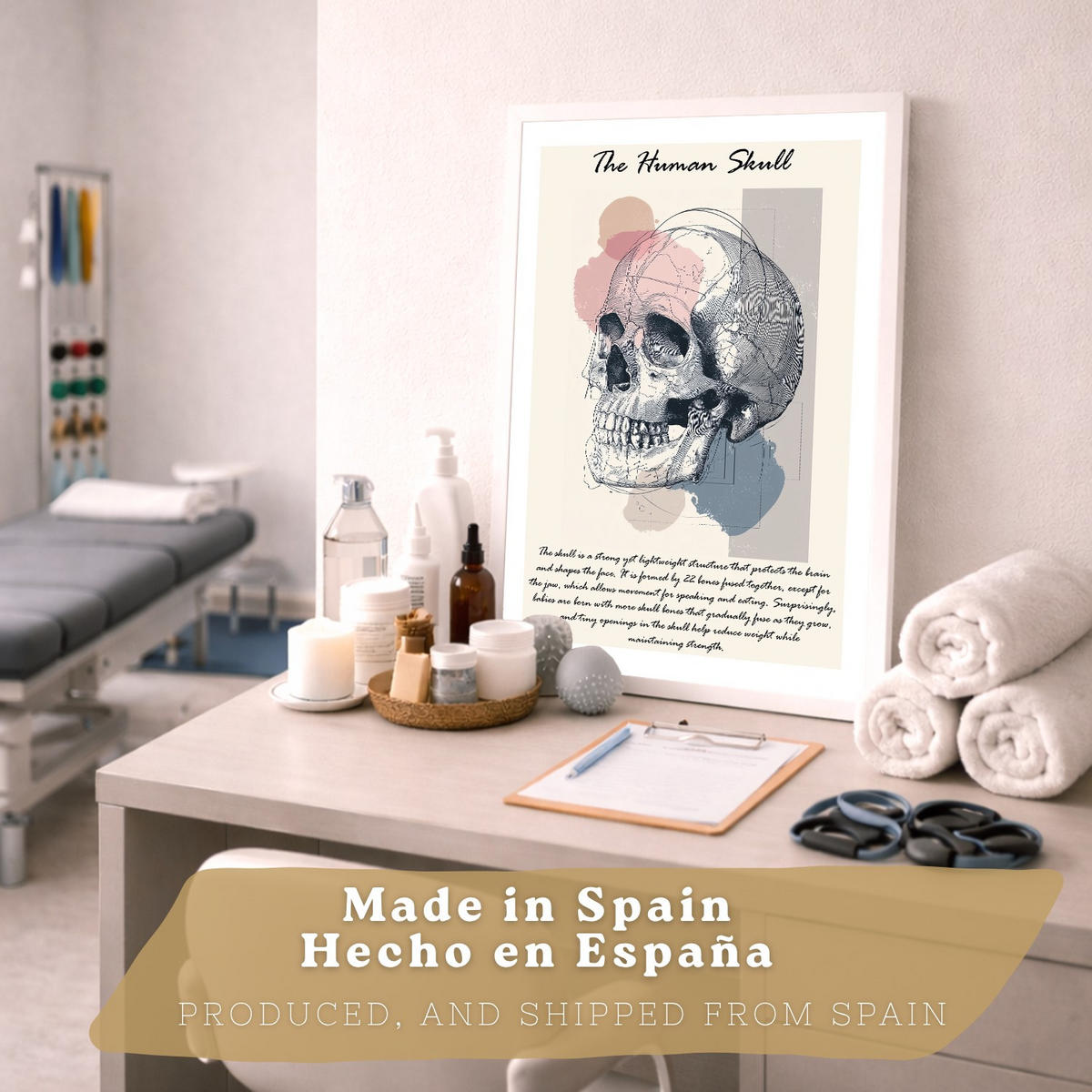 POSTER Set aus 2 Anatomie Mensch Lernposter Drucke und Wandbilder mit Skelett Rippen und Schädel Klinik Büro Dekoration Größe Rahmenlos A3 - Klar, Papier (29.7/42/3cm) - Nacnic