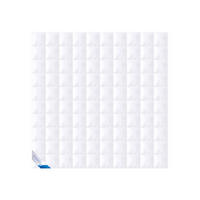 SOMMERBETTDECKE KLASSIK Entendaunen leicht - Weiß, Naturmaterialien/Textil (200/200cm) - Böhmerwald
